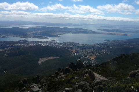 Mt Wellington Tour And MONA Admission - Tourism Townsville 15