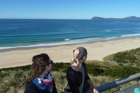 Small-Group Day Trip From Hobart To Bruny Island - Tourism Townsville 9