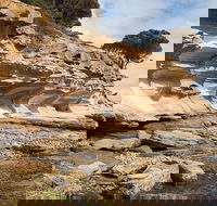Maria Island premium private photo-oriented day tour from Hobart - Tourism Townsville