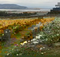 Mona and Wine Experience Tour - Tourism Townsville