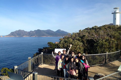3-Day Tasmania Combo: Hobart To Launceston Active Tour - Tourism Townsville 0