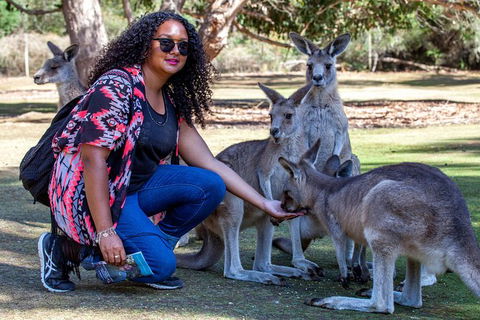 3-Day Tasmania Combo: Hobart To Launceston Active Tour - Tourism Townsville 19