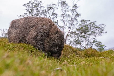 3-Day Cradle Mountain Photography Workshop - Tourism Townsville 7