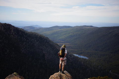 Mount Field National Park - Tarn Shelf & Russell Falls - Guided Hiking Tour - Tourism Townsville 0