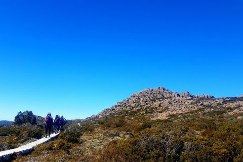 Mount Field National Park - Tarn Shelf & Russell Falls - Guided Hiking Tour - Tourism Townsville 6