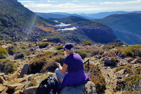 Mount Field National Park - Tarn Shelf & Russell Falls - Guided Hiking Tour - Tourism Townsville 11