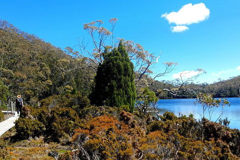 Mount Field National Park - Tarn Shelf & Russell Falls - Guided Hiking Tour - Tourism Townsville 3