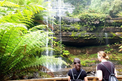 Mount Field National Park - Tarn Shelf & Russell Falls - Guided Hiking Tour - Tourism Townsville 4