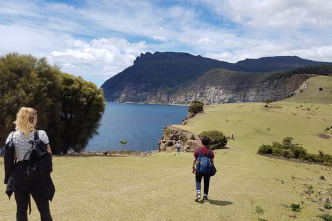 3-Day: Hobart Nature Walking Tour: Maria Island, Cape Raoul & Mount Field - Tourism Townsville 3