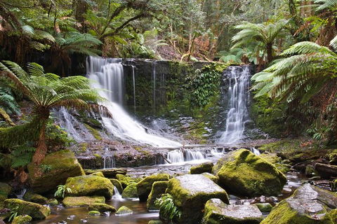 3-Day: Hobart Nature Walking Tour: Maria Island, Cape Raoul & Mount Field - Tourism Townsville 10