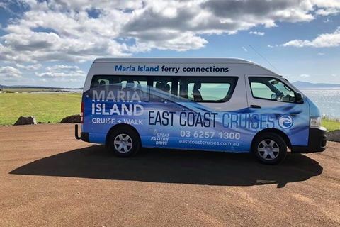 Maria Island Shuttle Bus Hobart To Triabunna (Round Trip) - Tourism Townsville 5