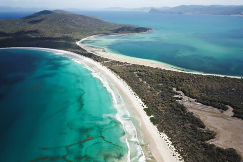 Maria Island Shuttle Bus Hobart To Triabunna (Round Trip) - Tourism Townsville 10