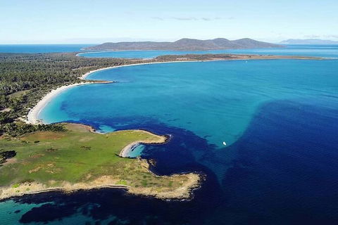 Maria Island Shuttle Bus Hobart To Triabunna (Round Trip) - Tourism Townsville 9