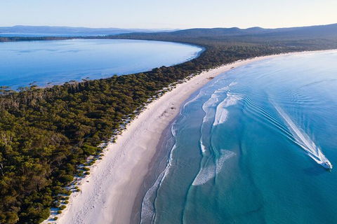 Maria Island Shuttle Bus Hobart To Triabunna (Round Trip) - Tourism Townsville 6