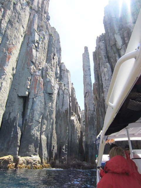 Day Trip To Tasman Peninsula And Port Arthur Historic Site From Hobart - Tourism Townsville 8