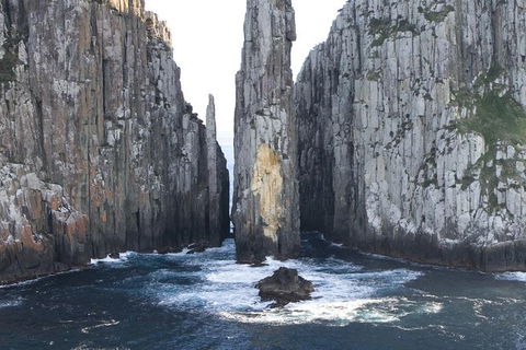 Day Trip To Tasman Peninsula And Port Arthur Historic Site From Hobart - Tourism Townsville 9