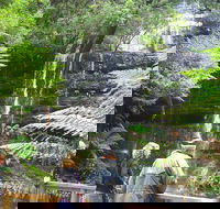 Mt Field National Park and Russell Falls from Hobart - Tourism Townsville