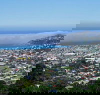 Hobart Shore Excursion Small Group Mount Wellington 3-Hour Bike Tour - Tourism Townsville