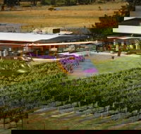 Home Hill Winery Helicopter Tour - Tourism Townsville
