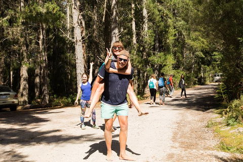 7-Day Best Of Tasmania Adventure Experience From Hobart (flexible Ticket) - Tourism Townsville 5