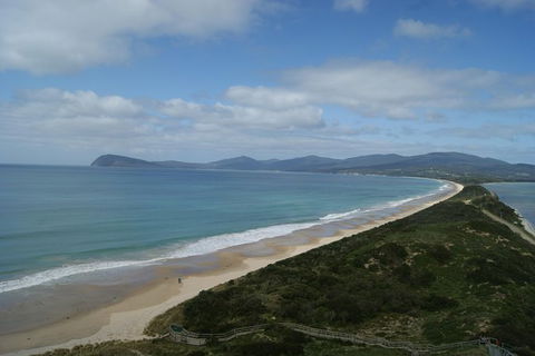 7-Day Best Of Tasmania Adventure Experience From Hobart (flexible Ticket) - Tourism Townsville 8