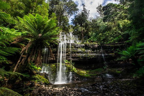 7-Day Best Of Tasmania Adventure Experience From Hobart (flexible Ticket) - Tourism Townsville 3