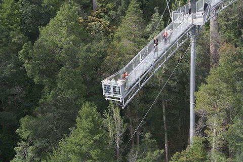 Cruise Ship Special From Hobart: Mt Wellington And Tahune AirWalk - Tourism Townsville 0