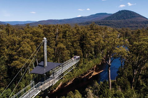 Cruise Ship Special From Hobart: Mt Wellington And Tahune AirWalk - Tourism Townsville 6