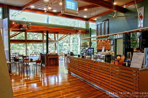 Cruise Ship Special From Hobart: Mt Wellington And Tahune AirWalk - Tourism Townsville 5