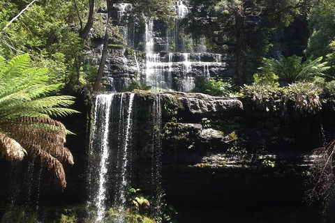 Private Mt Field National Park Day Trip From Hobart Including Salmon Ponds And Bonorong Wildlife Sanctuary - Tourism Townsville 0