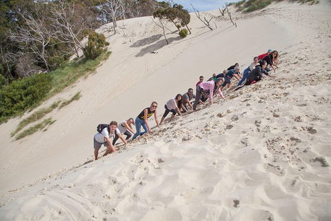 3 Day Tasmanian Wild West Coast Tour From Hobart To Launceston - Tourism Townsville 8