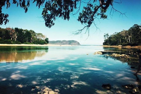Full-Day Guided Bruny Island Tour From Hobart - Tourism Townsville 1