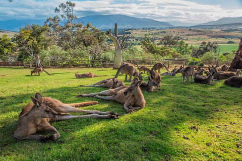 2 Day - Two Of Tasmania's Best Tour - Tourism Townsville 1