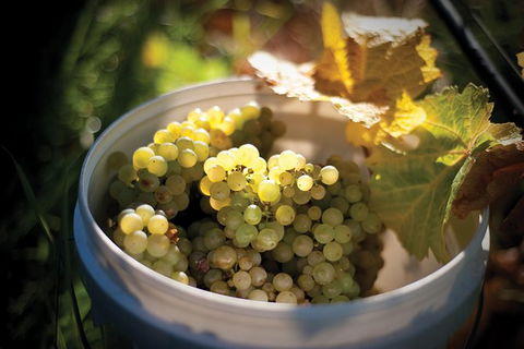 Private Richmond Food And Wine Day Trip From Hobart - Tourism Townsville 1