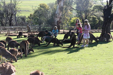 The Port Arthur MEGA Day Trip From Hobart - Tourism Townsville 5
