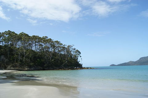Bruny Island Day Trip From Hobart - Tourism Townsville 2
