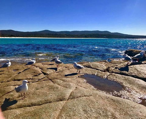 5-Day Lap Of Tasmania Tour From Hobart (flexible Ticket) - Tourism Townsville 4
