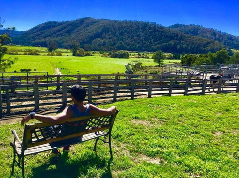 5-Day Lap Of Tasmania Tour From Hobart (flexible Ticket) - Tourism Townsville 2