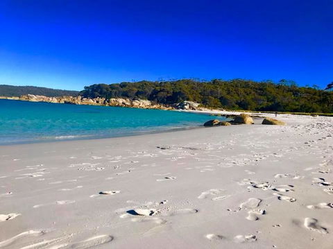 5-Day Lap Of Tasmania Tour From Hobart (flexible Ticket) - Tourism Townsville 6