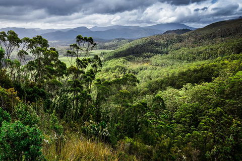 5-Day Lap Of Tasmania Tour From Hobart (flexible Ticket) - Tourism Townsville 16