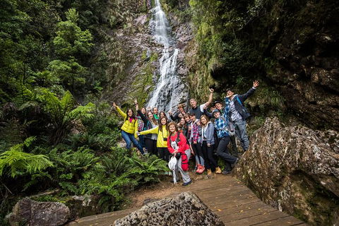 5-Day Lap Of Tasmania Tour From Hobart (flexible Ticket) - Tourism Townsville 14