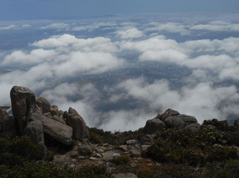 Cruise Ship Special Ex Hobart: Mt Wellington, Richmond, Bonorong With Free WiFi - Tourism Townsville 15
