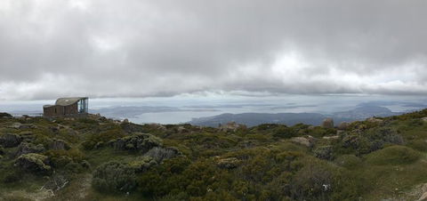 Cruise Ship Special Ex Hobart: Mt Wellington, Richmond, Bonorong With Free WiFi - Tourism Townsville 4