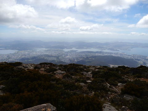 Cruise Ship Special Ex Hobart: Mt Wellington, Richmond, Bonorong With Free WiFi - Tourism Townsville 10