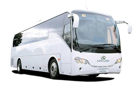 Cruise Ship Special Ex Hobart: Mt Wellington, Richmond, Bonorong With Free WiFi - Tourism Townsville 19