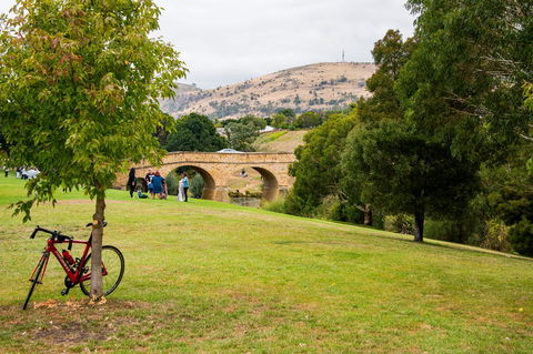 Small-Group Tour From Hobart: Mt Wellington, Bonorong Wildlife Park And Richmond - Tourism Townsville 14