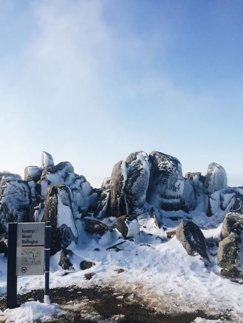 Small-Group Tour From Hobart: Mt Wellington, Bonorong Wildlife Park And Richmond - Tourism Townsville 3