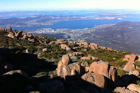 Mt Wellington ULTIMATE Tour, Most Comprehensive/ Best Value - Tourism Townsville 1