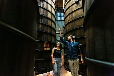 A Day Of Decadence At D'Arenberg - Tourism Townsville 1
