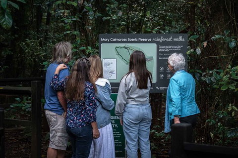 Sunshine Coast Hinterland And Noosa Day Trip From Brisbane Including Eumundi Markets And Ginger Factory - Tourism Townsville 4